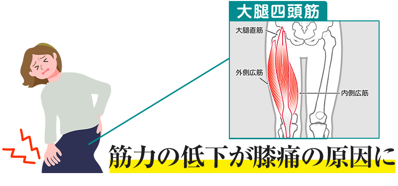 膝痛の原因